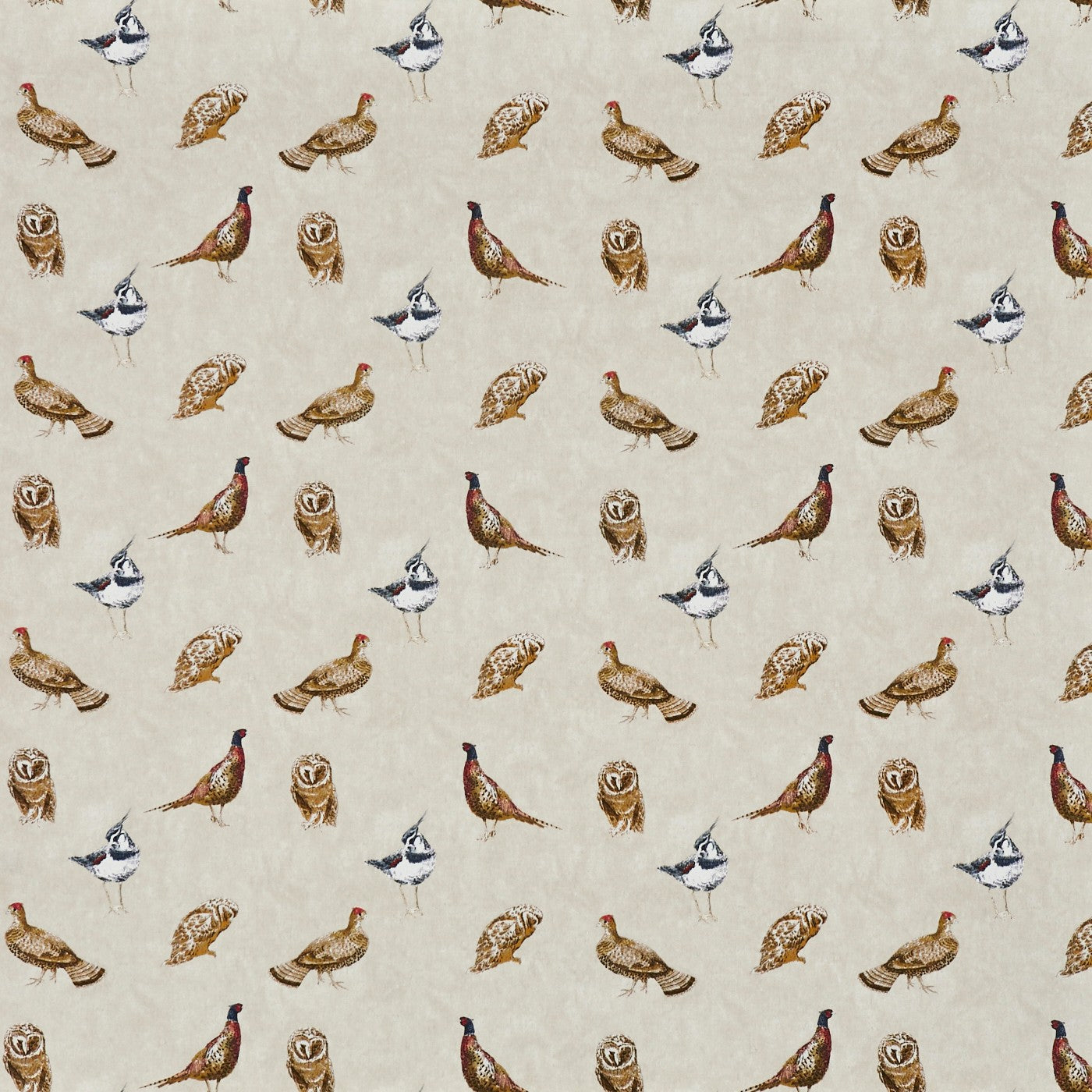 Wild Birds Putty