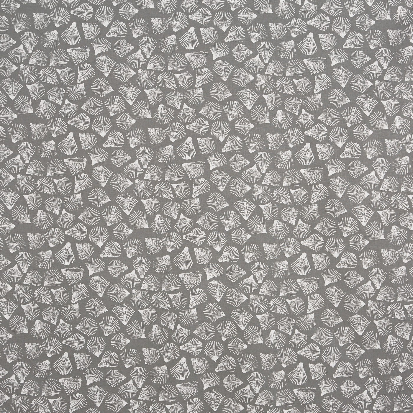 Sandbank Shale