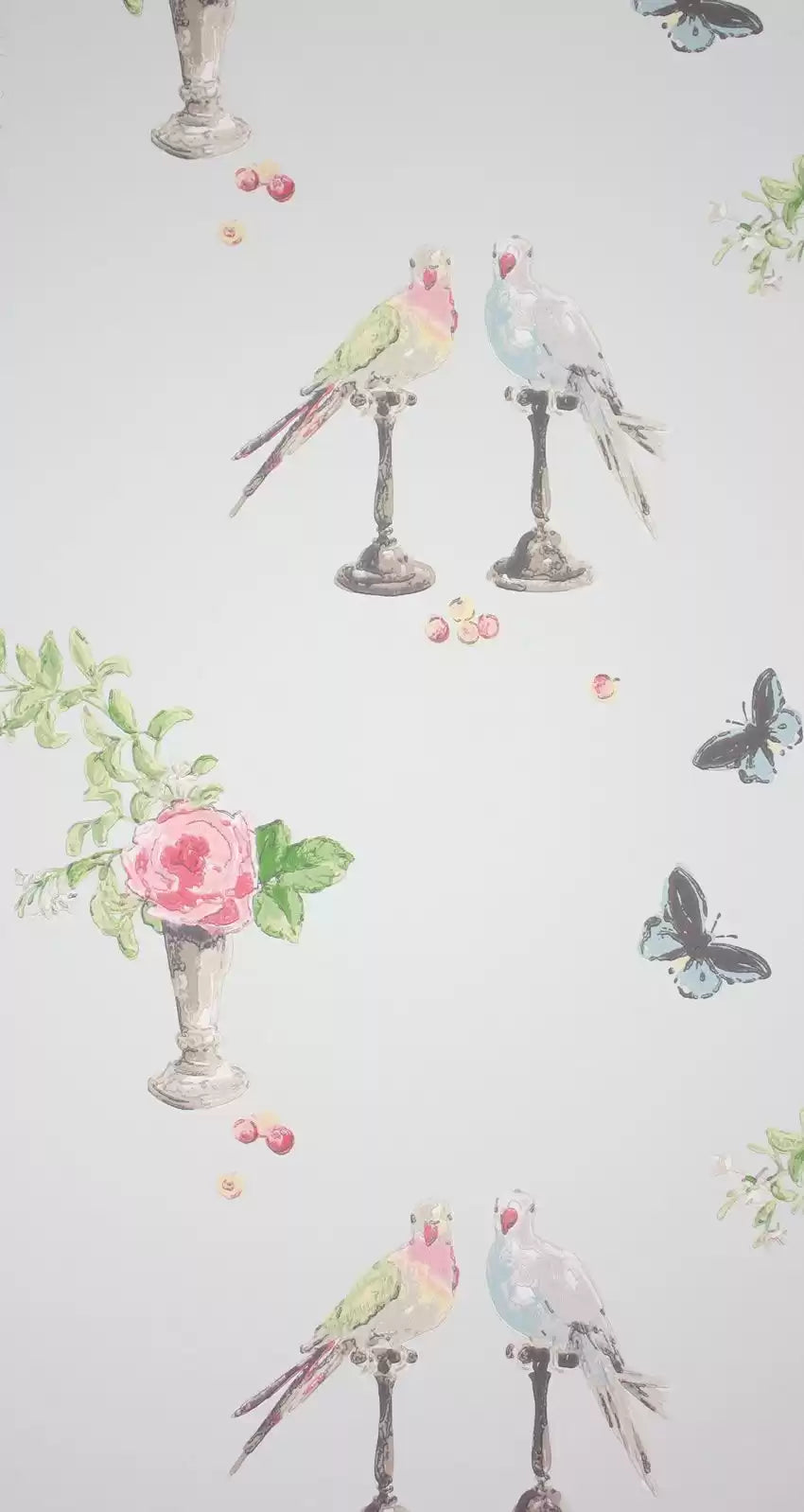 Perroquet (Perroquet)