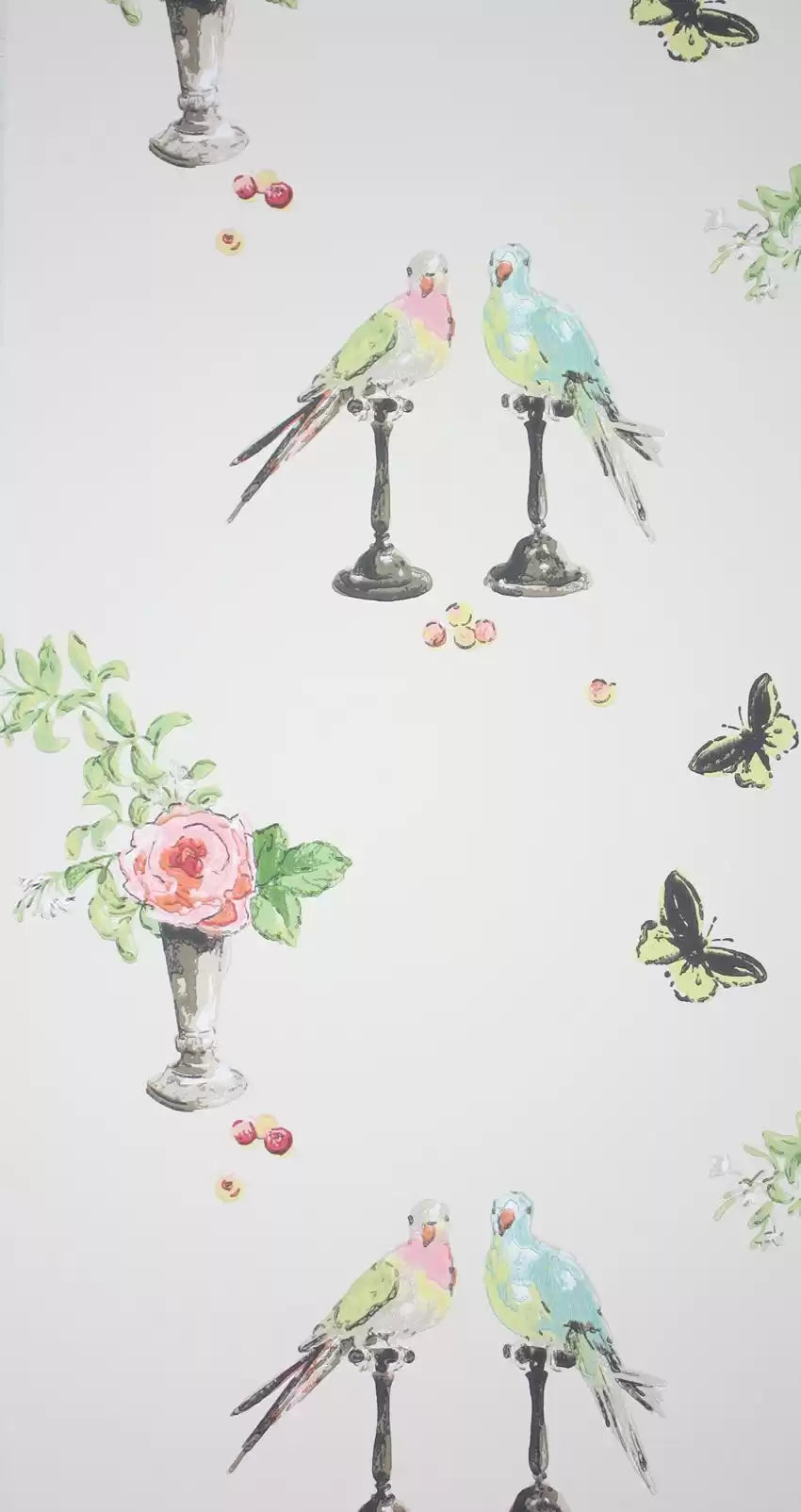 Perroquet (Perroquet)