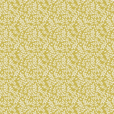 Birch Mustard