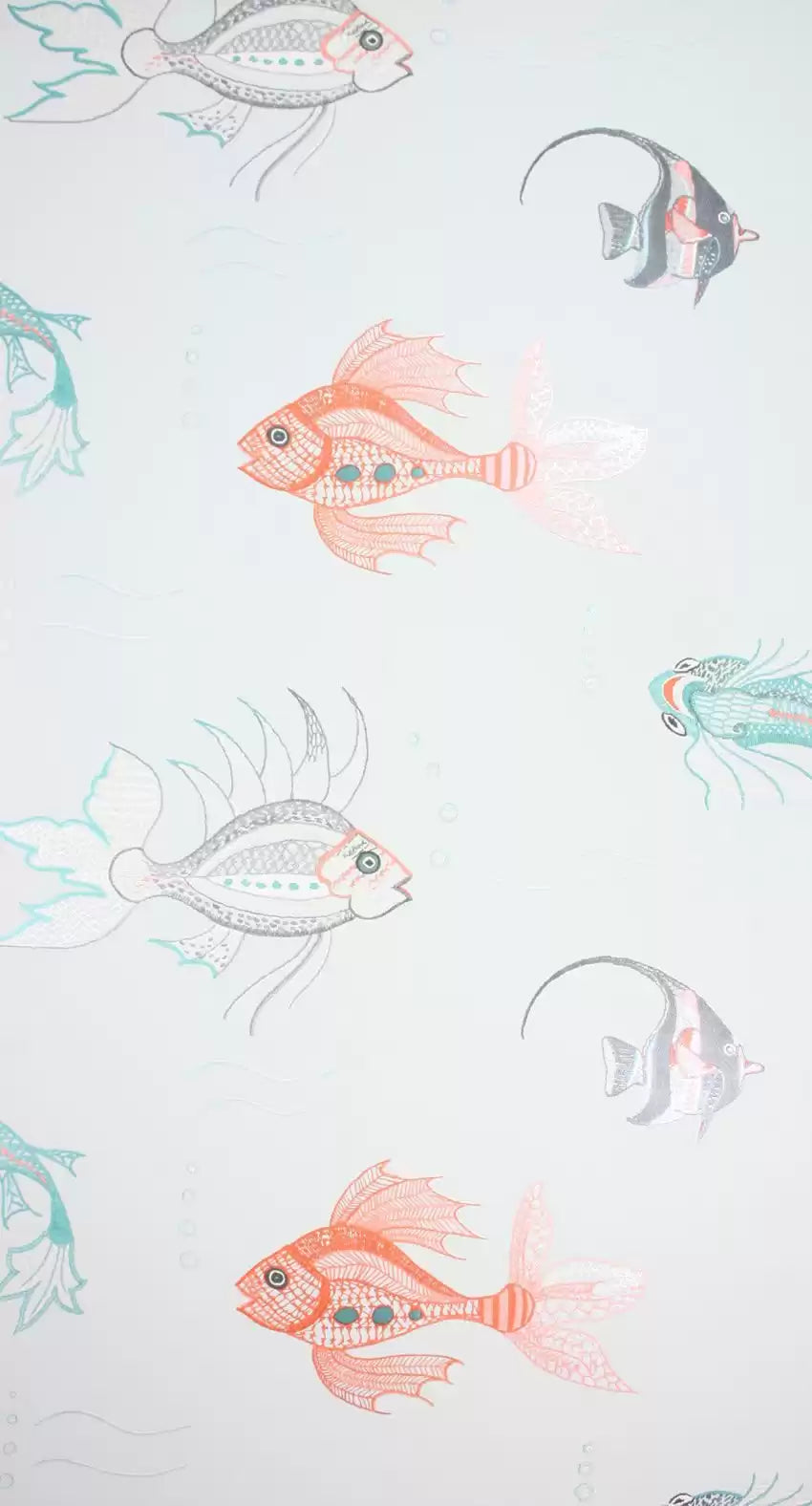 Aquarium (Perroquet)