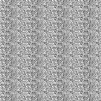 Dalmatian Mono