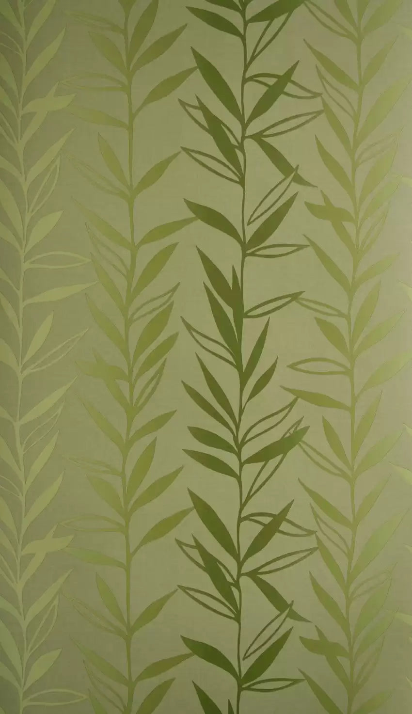 Salix (Sylvana)