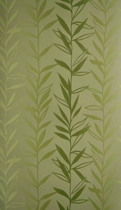 Salix (Sylvana)