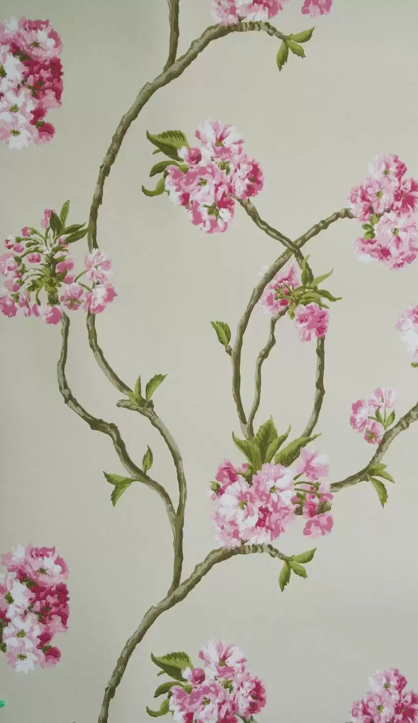 Orchard Blossom (Nina Campbell Wallpaper Album 3)