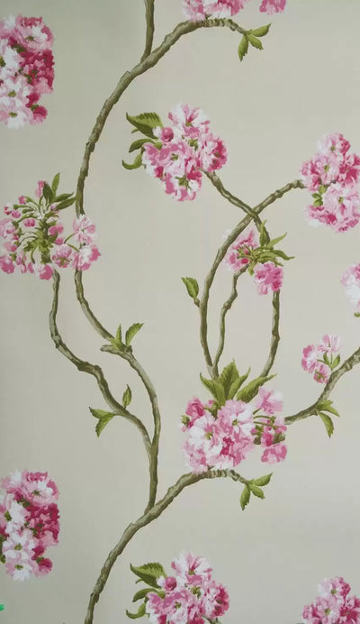 Orchard Blossom (Sylvana)