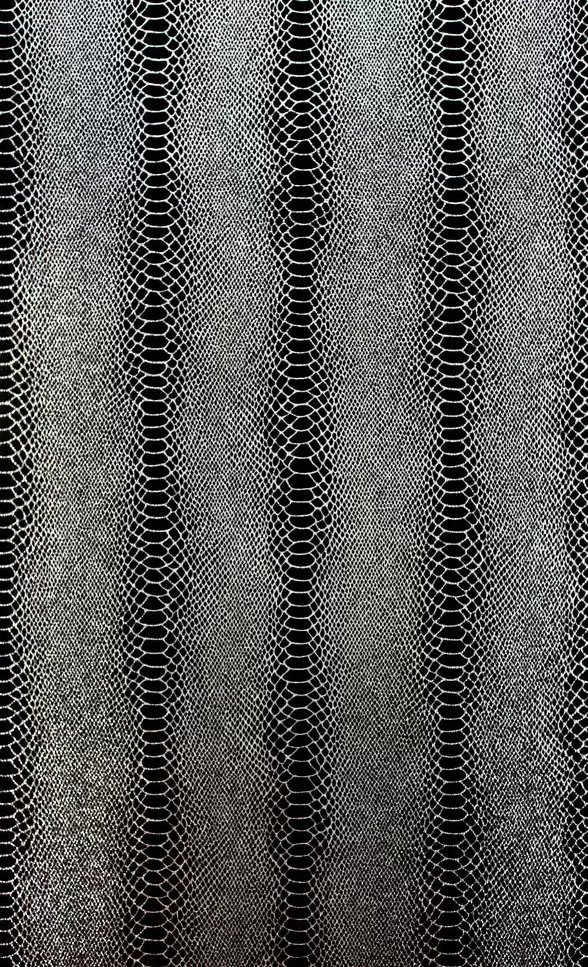 Cobra (Komodo)
