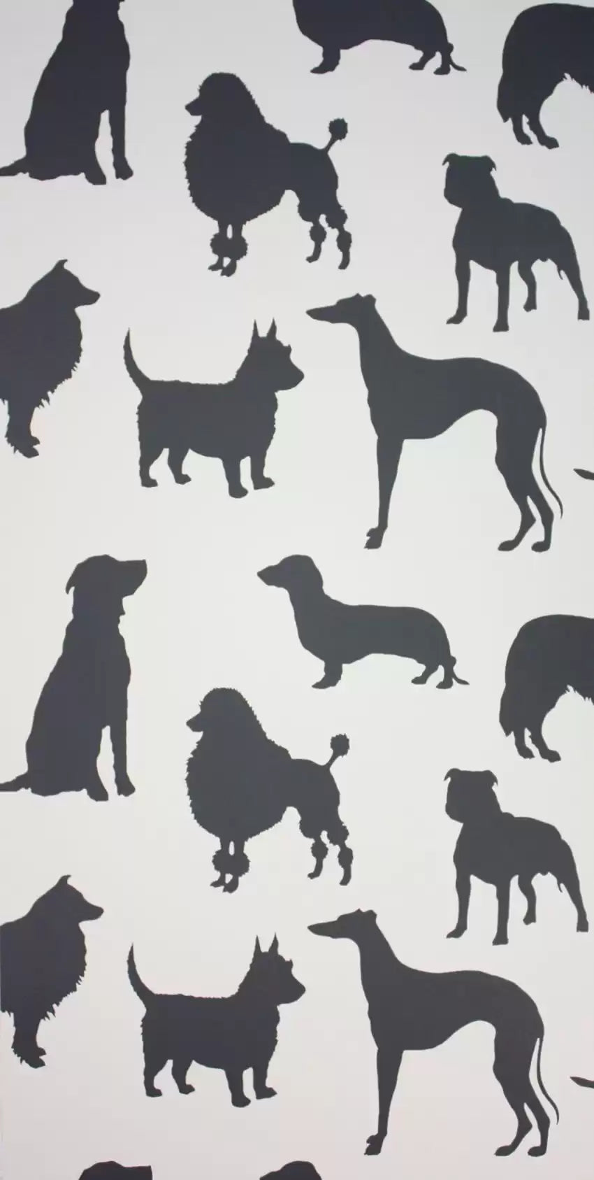 Best In Show (Grand Tour)
