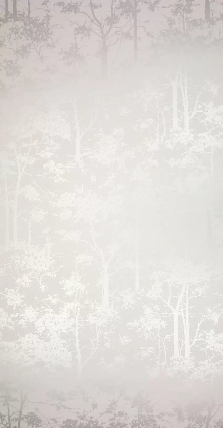 Mandara (O&l Wallpaper Album 5)