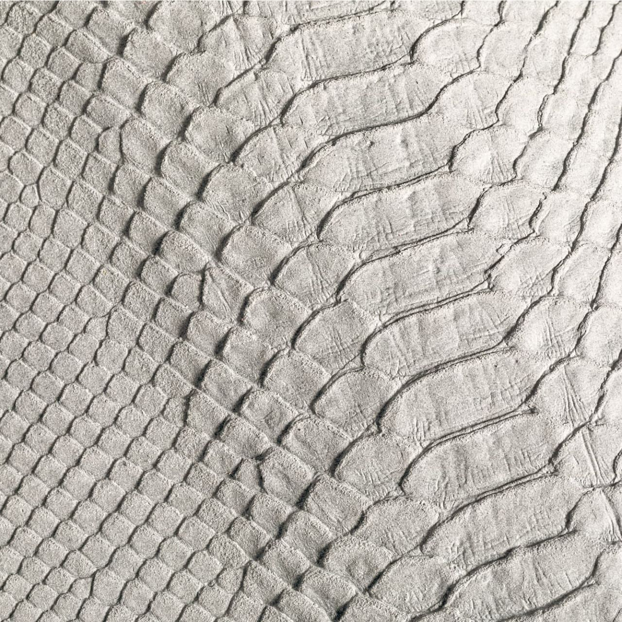 Taipan Nuvola
