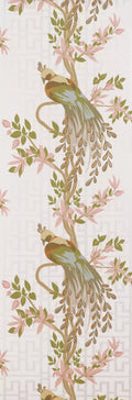Paradiso (Paradiso)