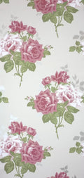 Rosa Alba (Paradiso)