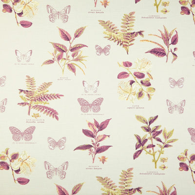 Botany Vintage