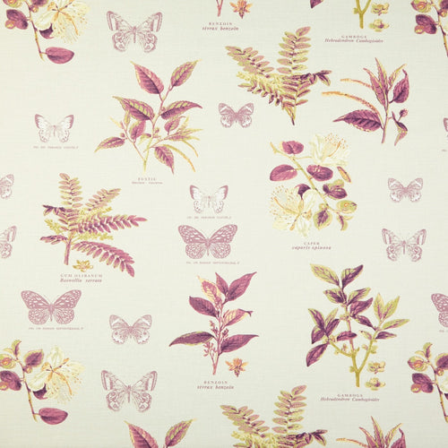 Botany Vintage