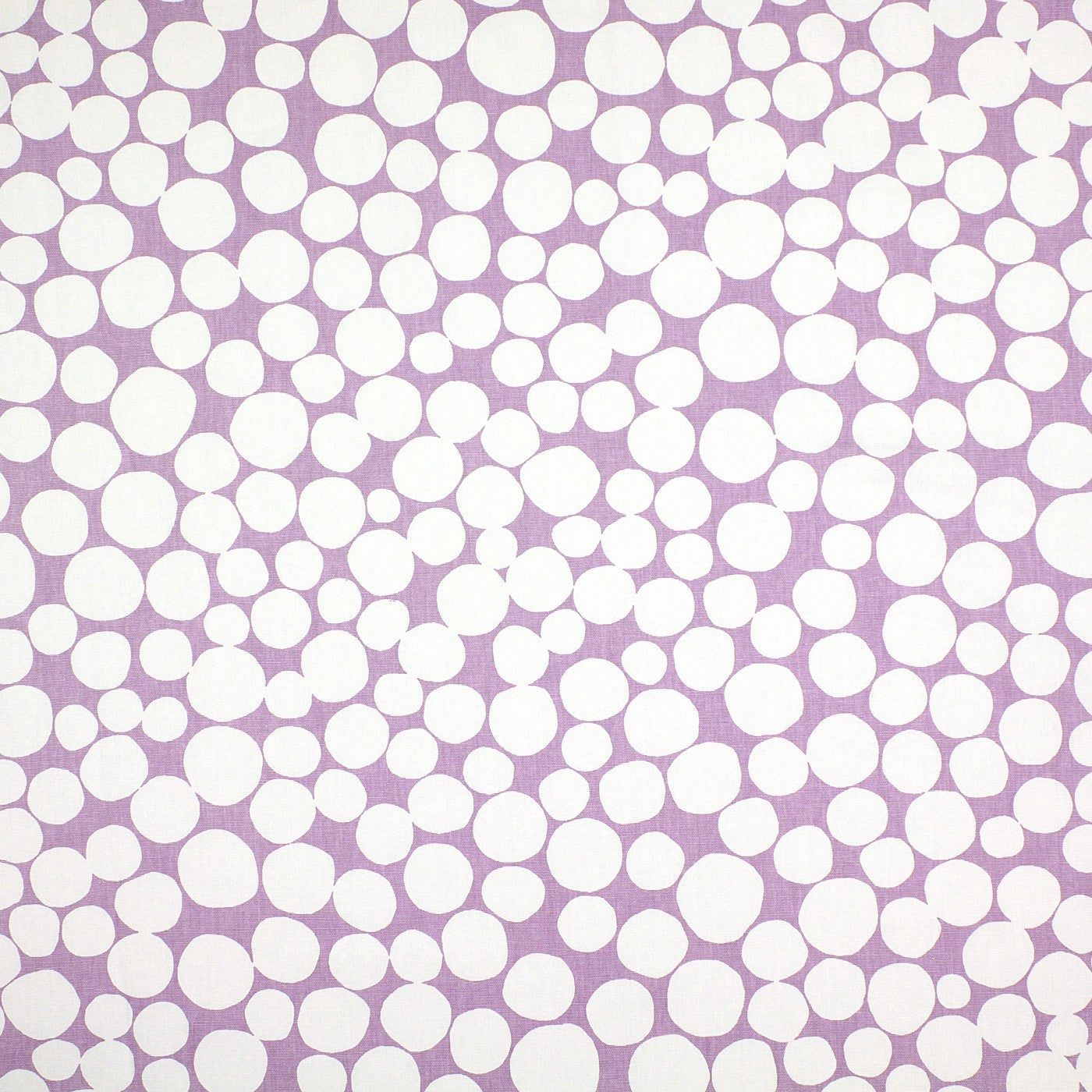 Fizzle Lilac
