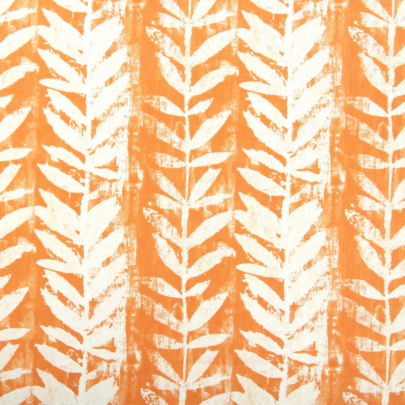 Morella Mandarin