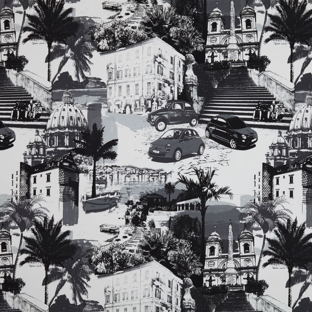 Rimini Graphic