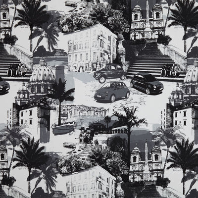 Rimini Graphic