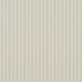 Basil Stripe - Antique Rose (Signature Stripe Library)