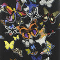 Butterfly Parade - Oscuro (Lacroix Stravaganza)