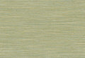 JAIPUR JaKhaadi 5885