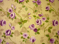 Melrose Mulberry