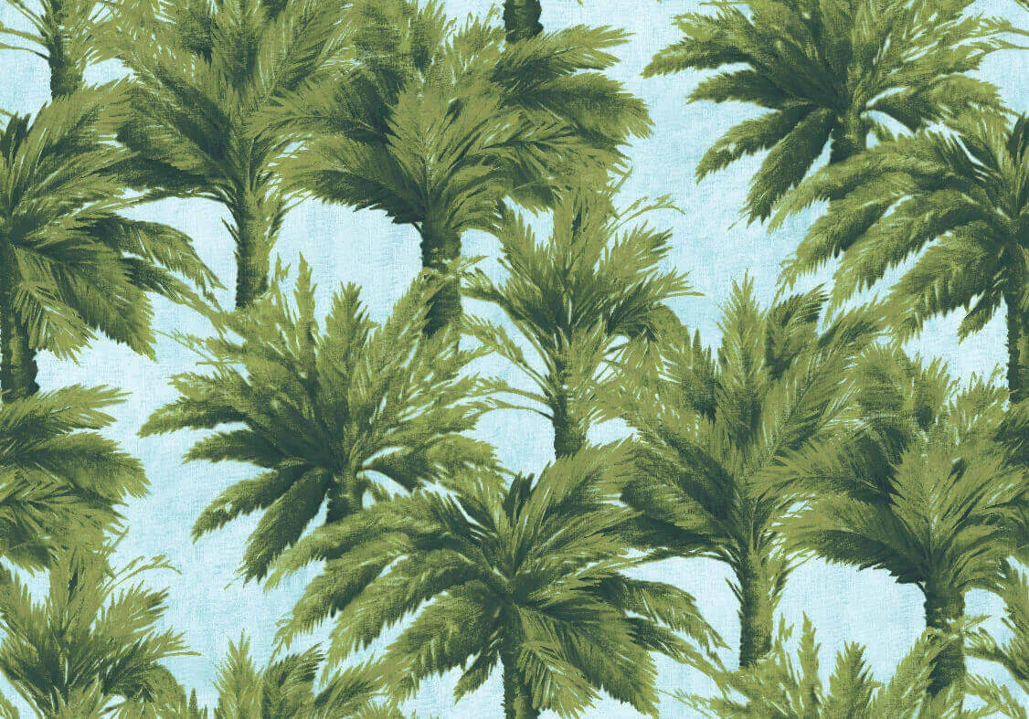 Pampa Jais - Jungle