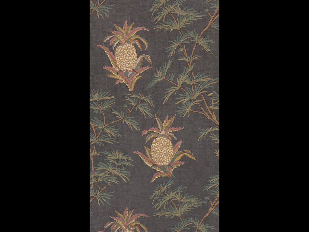 PINEAPPLE (TERRA REVERIE)