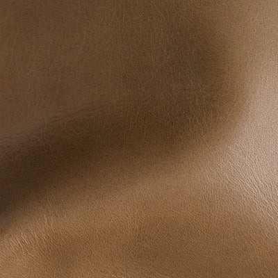 Star Antilope