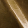 Lumiere Mimetico