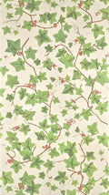 Groseiller FP110001 - - Jardins Secrets