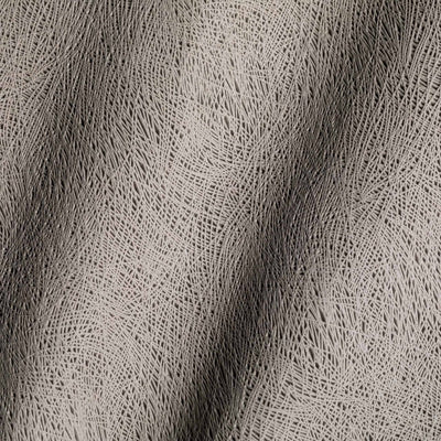 Entropia Perla