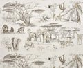 Masai mara Oasis - Les Dessins 2