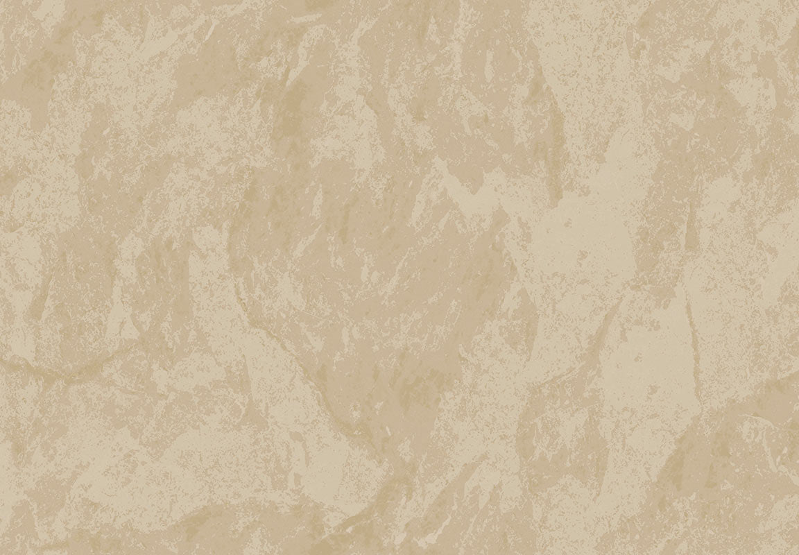 METAMORPHOSIS Lithos Velatus 6643