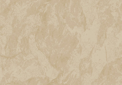METAMORPHOSIS Lithos Velatus 6643