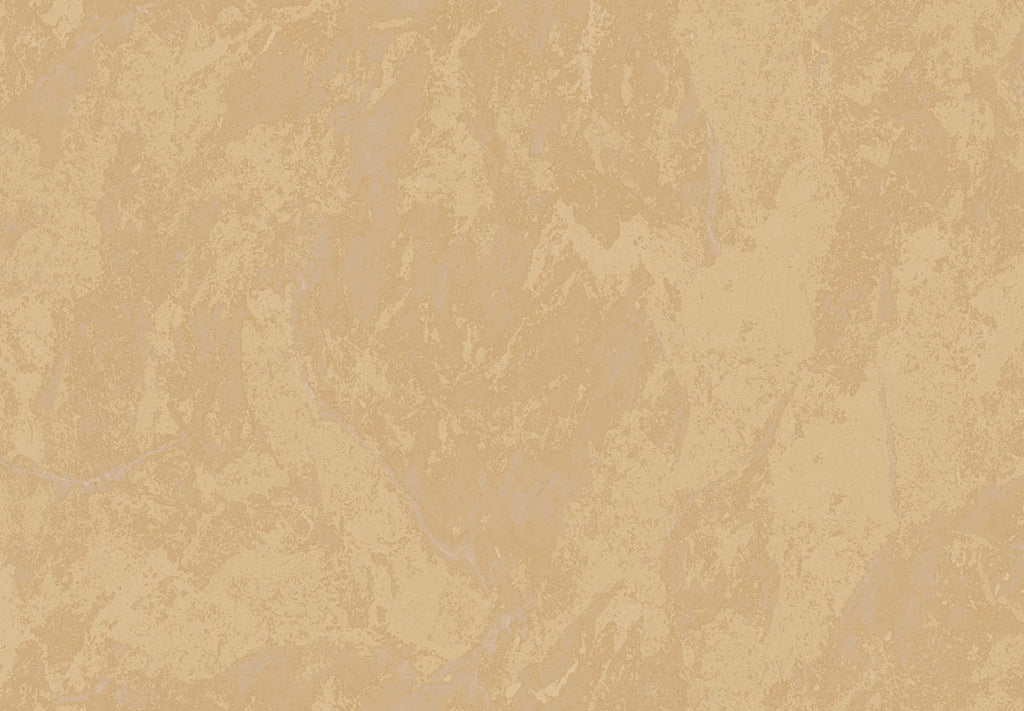 METAMORPHOSIS Lithos Velatus 6644