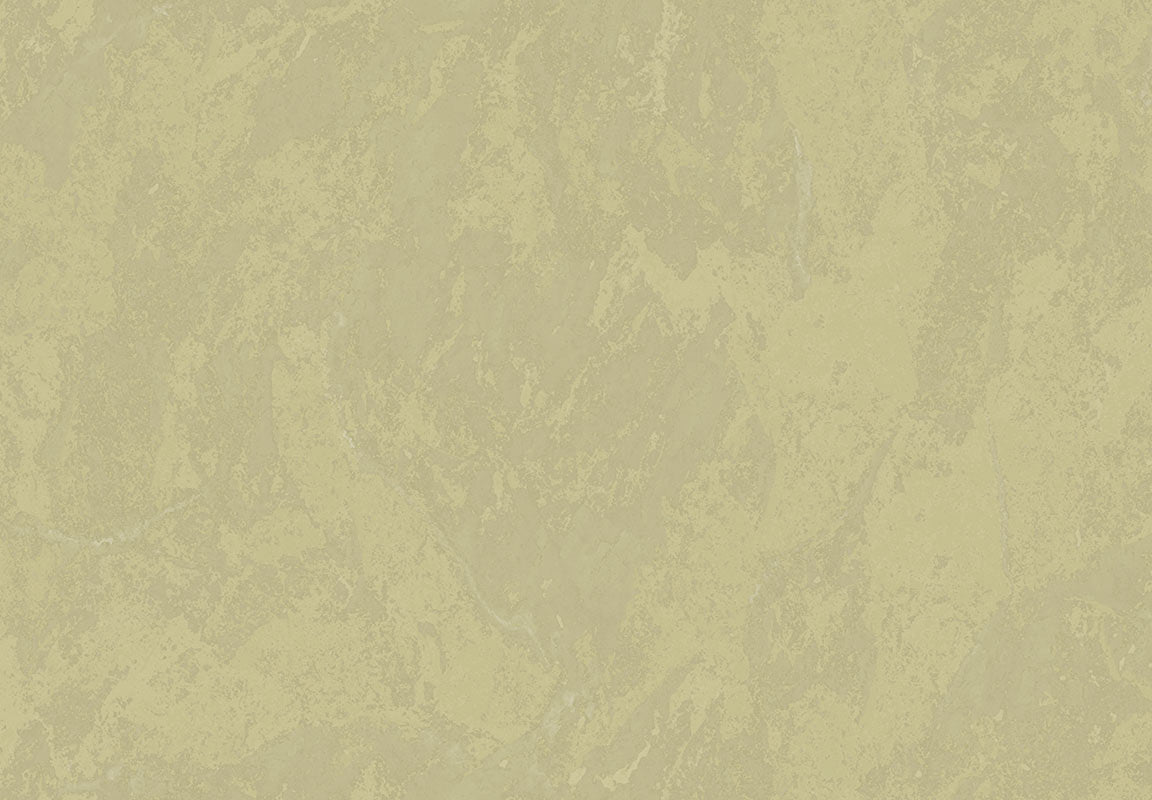 METAMORPHOSIS Lithos Velatus 6645