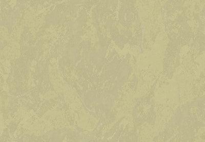 METAMORPHOSIS Lithos Velatus 6645