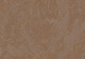 METAMORPHOSIS Lithos Velatus 6649