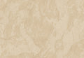 METAMORPHOSIS Lithos Velatus 6653