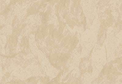 METAMORPHOSIS Lithos Velatus 6653
