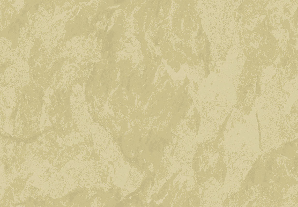 METAMORPHOSIS Lithos Velatus 6655