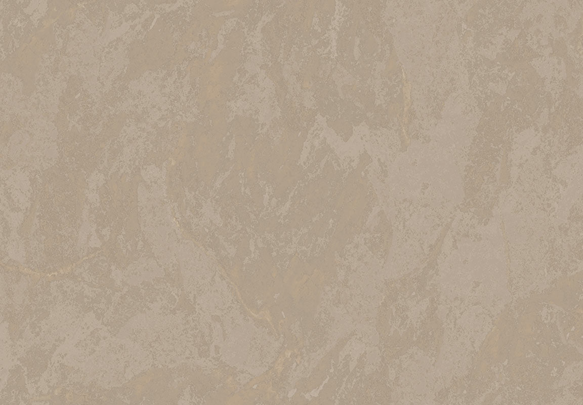 METAMORPHOSIS Lithos Velatus 6659