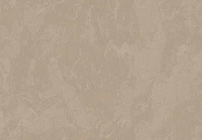 METAMORPHOSIS Lithos Velatus 6659