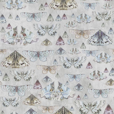 Issoria - Zinc (Jardin Des Plantes Wallpaper)