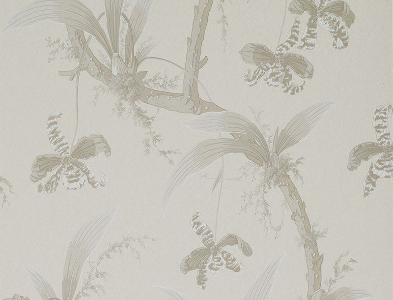 MANDARIN ORCHIDS WALLPAPER (Temple of Dawn Wallpaper)