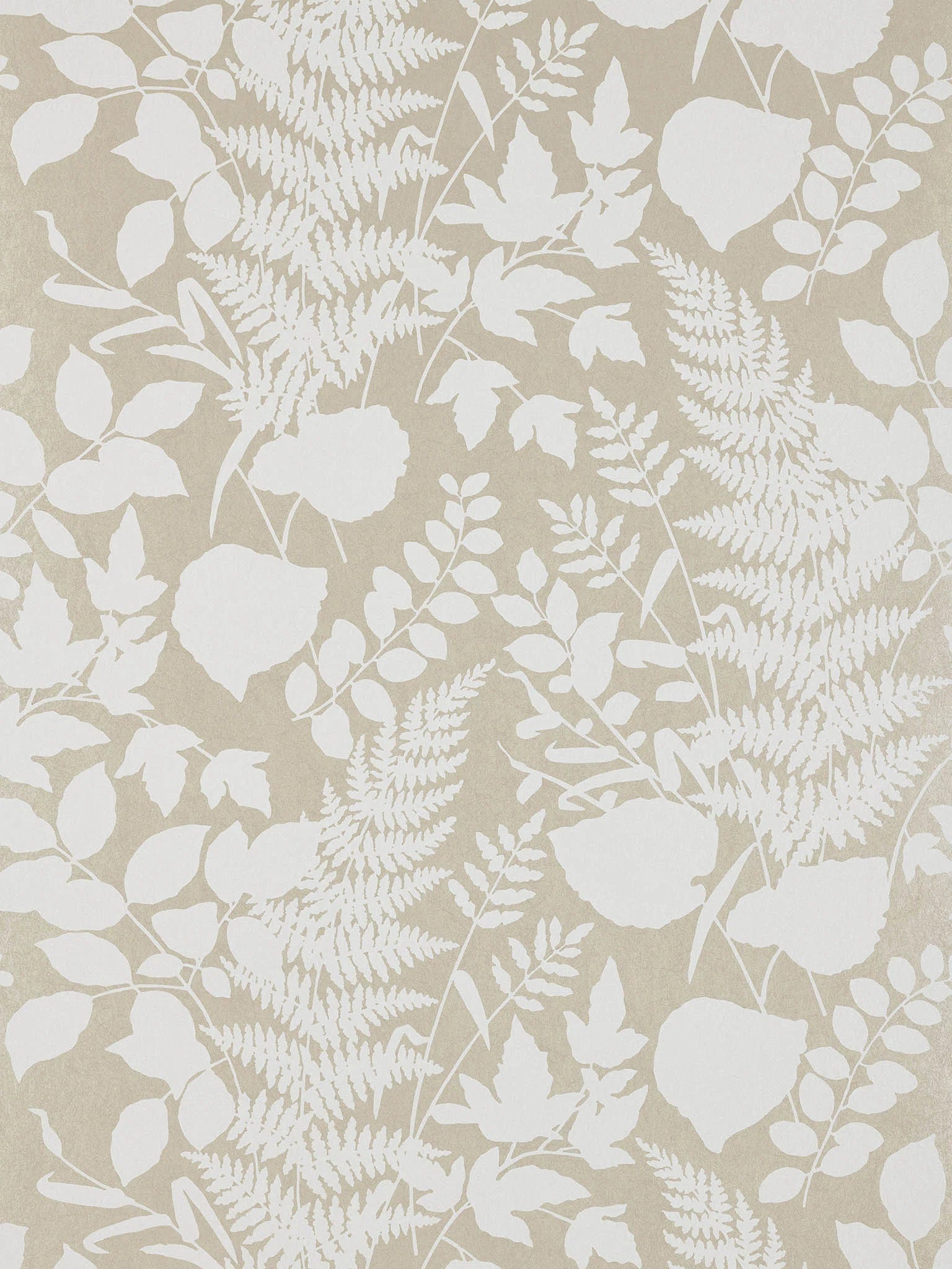Dragons de feu Celadon - Collection Veranda