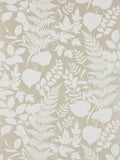 Les fougeres Champagne - Collection Veranda