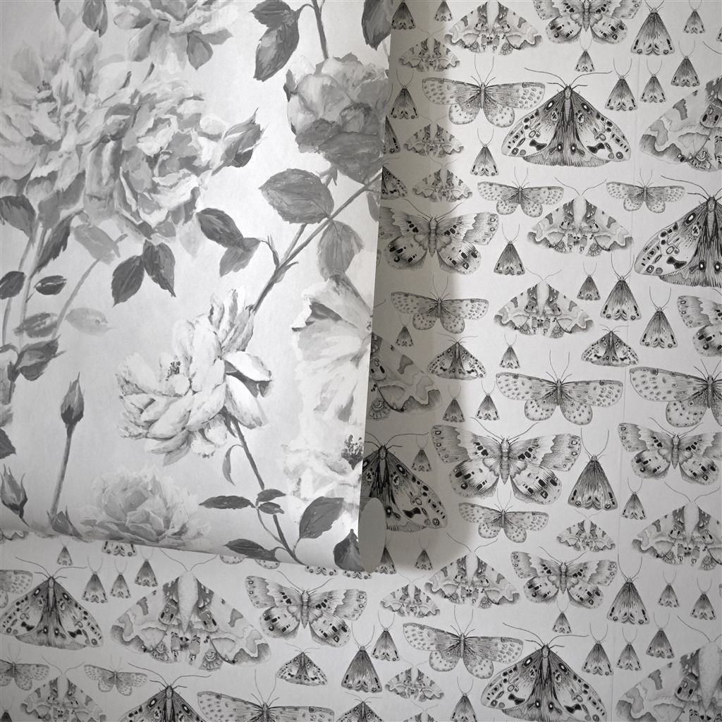 Issoria - Zinc (Jardin Des Plantes Wallpaper)